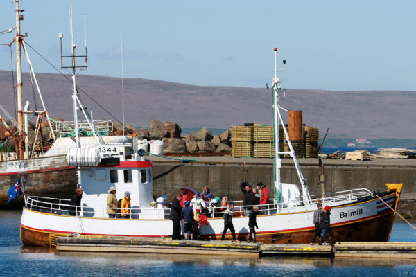 Hvammstangi harbour