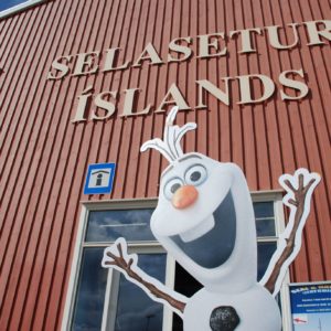 Selasetur Íslands - safnið